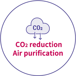 CO2 reduction and air purification