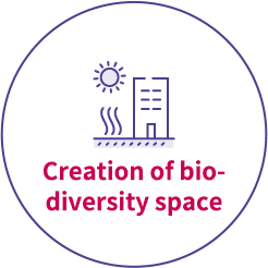Creating biodiversity spaces
