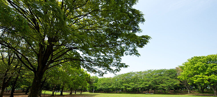 大和市引地台公園​