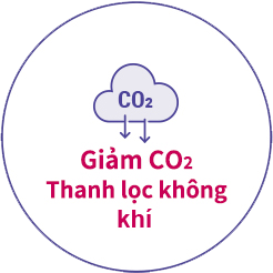 Giảm CO2 và thanh lọc không khí