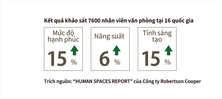 Hiệu ứng chữa bệnh