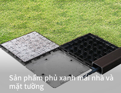 Sản phẩm phủ xanh mái nhà và tường 
