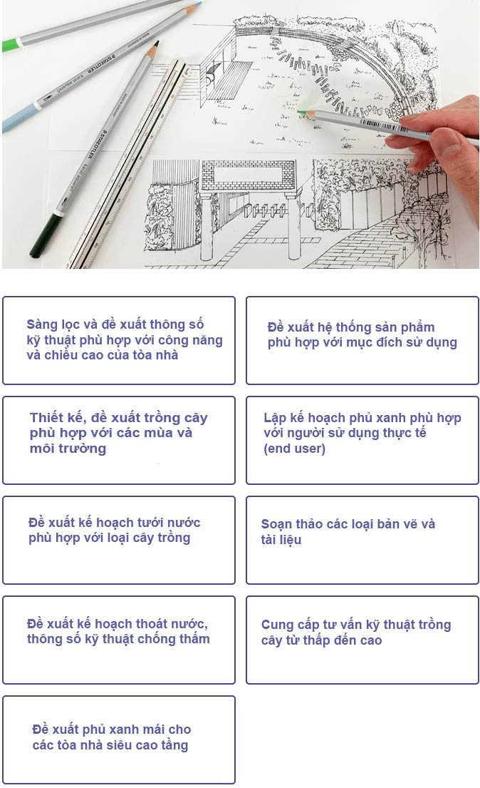 Đề xuất phủ xanh mái nhà