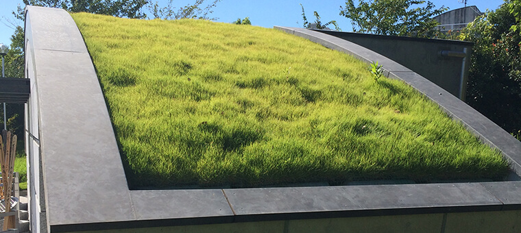 勾配を付けた屋上緑化